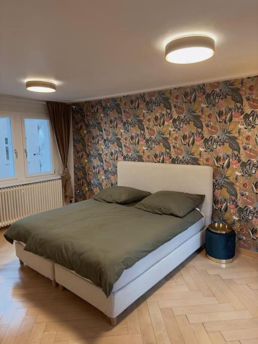 Suesse Wohnung In Zuercher Altstadt 3 Zürich Kültér fotó